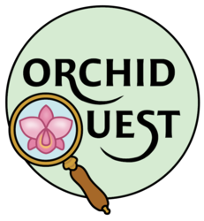 ORCHID QUEST