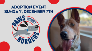 Paws without Borders Adoption Event