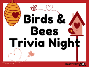 Birds & Bees Trivia Night+21 @ Brandywine Zoo