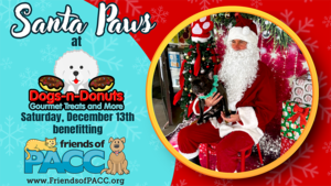 Photos with Santa Paws benefitting Friends of Pima Animal Care Center