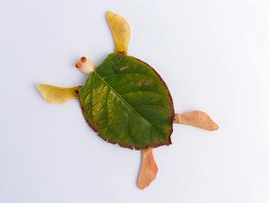 Preschool Explorers: Gifts from Nature