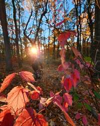 Campfire Conversations: Environmental Stewardship at Wildlands Conservancy