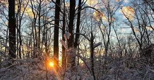 Get Out! For Wellness: Black River Sanctuary Hike with Wildlands Conservancy