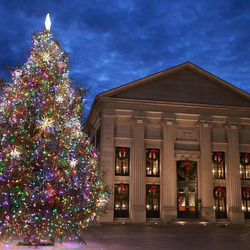 Hancock-Adams Common Tree Lighting