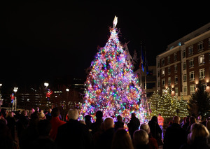 Generals Bridge & Park Tree Lighting