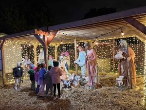 Lights on the Farm 2025