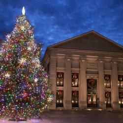 Hancock-Adams Common Tree Lighting