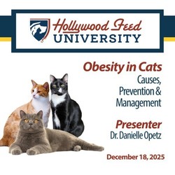 Hollywood Feed University Presents “Obesity in Cats: Causes, Prevention & Nutritional Management”