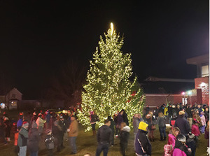 Sussex Christmas Tree Lighting