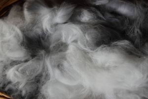 Woven in Wool @ Burke Museum