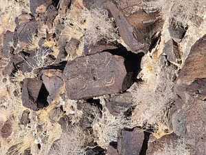 Guided Hike of South Point Day Use Area