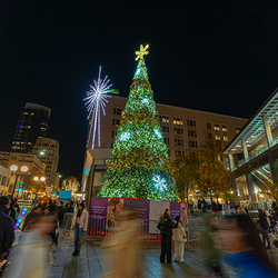 Tree Lighting Celebration at Westlake Center