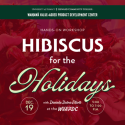 Hibiscus for the Holidays