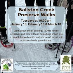 Ballston Creek Preserve Walk