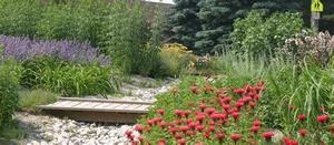 Retire Your Lawn: Plant Hope