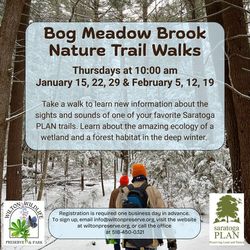 Bog Meadow Brook Nature Trail Walks