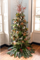 Teen Homeschool History Day: Holiday Traditions