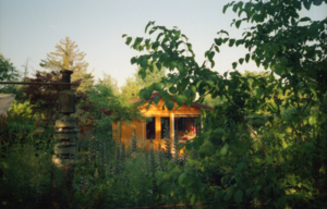 Digital Photography with Jacob Brody (5-sessions)