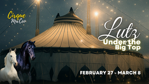 Cirque Ma'Ceo LIVE in Lutz • Feb 27 - Mar 8, 2026