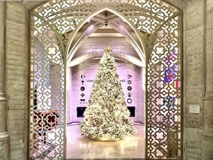 Rainbow World Fund: 20th Annual World Tree of Hope Lighting Ceremony