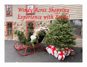 Windy Acres Shopping Experience with Santa