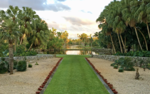 Tropical Flowering Tree Society