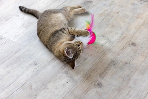 Make a Cat Toy for a Furry Friend