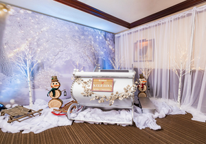 Sleigh Bar at Sheraton Grand Chicago Riverwalk