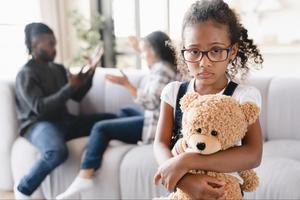 Child Custody Analysis Scholarship