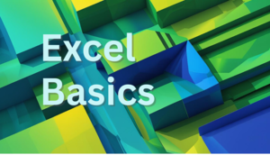 Excel Basics