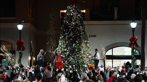 Tropical Holiday Celebration
