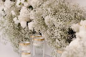 the house white dream event