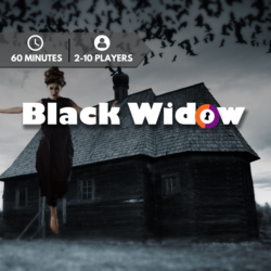 Black Widow Escape Room