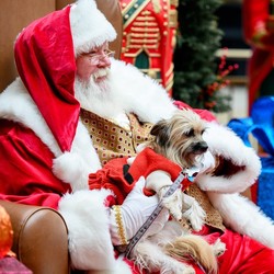 THE SHOPS AT MONTEBELLO WELCOMES PETS FOR HOLIDAY PHOTOS WITH SANTA