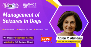 Management of Seizures in Dogs