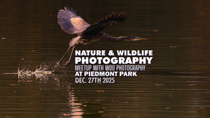 Nature Photography Walk in Piedmont Park