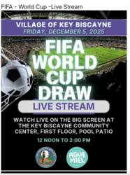 FIFA World Cup Draw Live