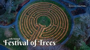 17th Annual Festival of Trees
