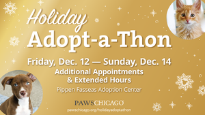 Holiday Adopt-a-Thon