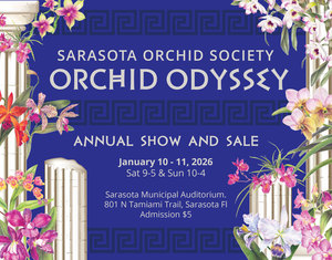Orchid Odyssey