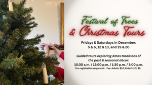 Christmas Tours