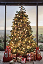 Ram's Gate Holiday Activations