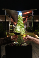 Tree Lighting Holiday Event at the Esplanade