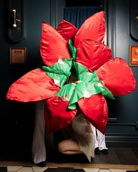 The 5 Points Nutcracker: A Holiday Jazz Experience