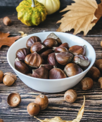 LeFever Chestnuts At The Village of Rochester Hills