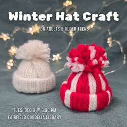Mini winter hat craft
