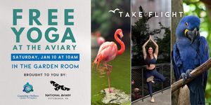 Free Yoga at the National Aviary