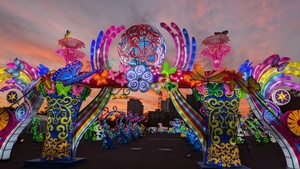 Winter Lantern Festival