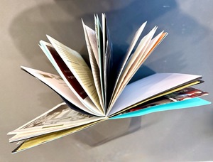 Artist-led Workshop with Ruby Merritt - Upcycled Journals with Gallery Haiku