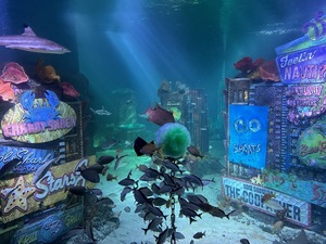 The Ultimate Ball Drop Experience at SEA LIFE New Jersey